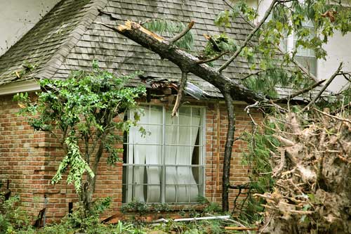 Click image for larger version. 

Name:	Tree-Damage.jpg 
Views:	771 
Size:	45.8 KB 
ID:	10118