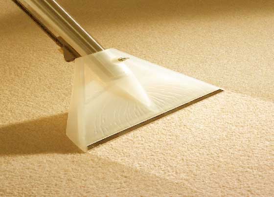 Click image for larger version. 

Name:	carpetcleaning.jpg 
Views:	421 
Size:	23.7 KB 
ID:	10274
