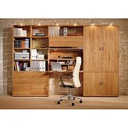 Click image for larger version. 

Name:	Agarwal Office TOA-2907, Storage Cabinets-600x600.jpg 
Views:	64 
Size:	6.8 KB 
ID:	11295