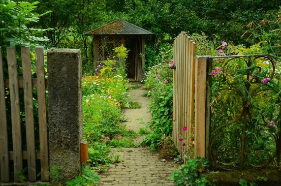 Turn Your Shed Into the Perfect Workshop