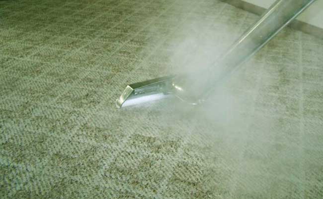 Name:  Steam-Cleaning-Carpet.jpg
Views: 133
Size:  27.4 KB