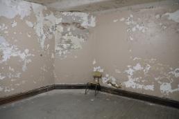 A room with moldy walls and a chair.