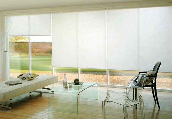 Name:  roller-blinds.jpg
Views: 143
Size:  38.9 KB